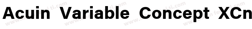 Acuin Variable Concept XCn Mdi字体转换